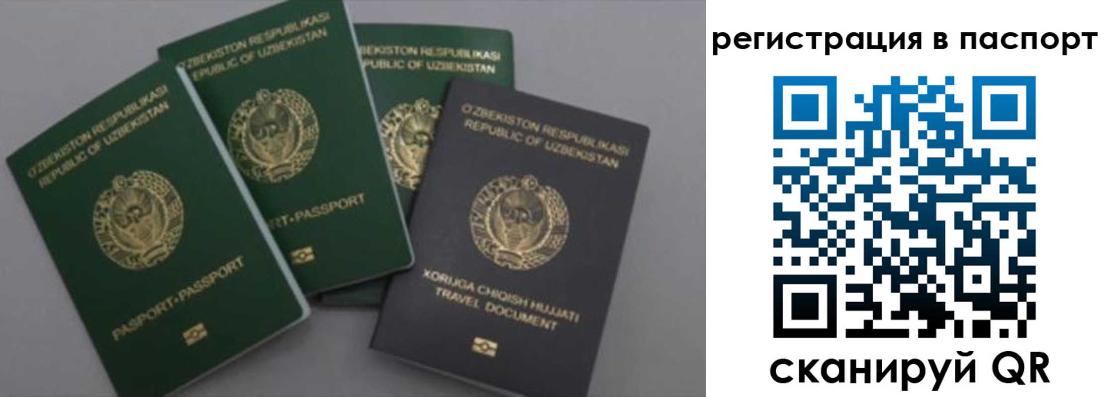 прописка от собственника в Красном Сулине